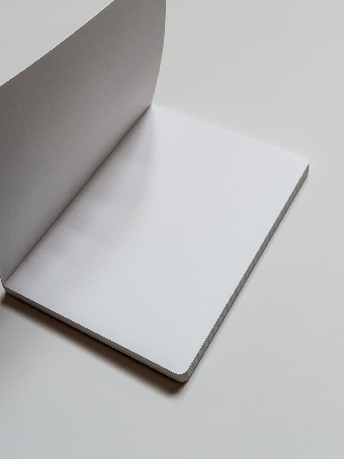 A little bit dramatic notebook