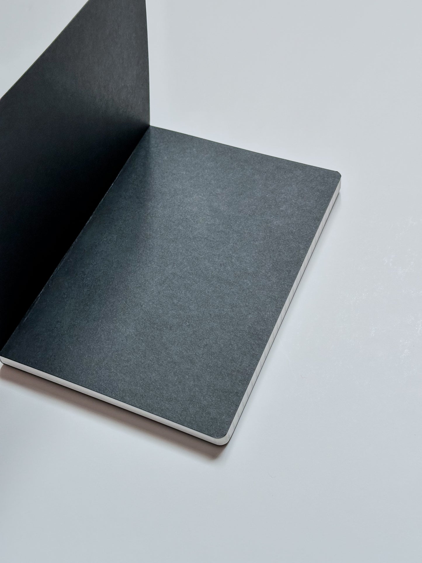 A little bit dramatic notebook