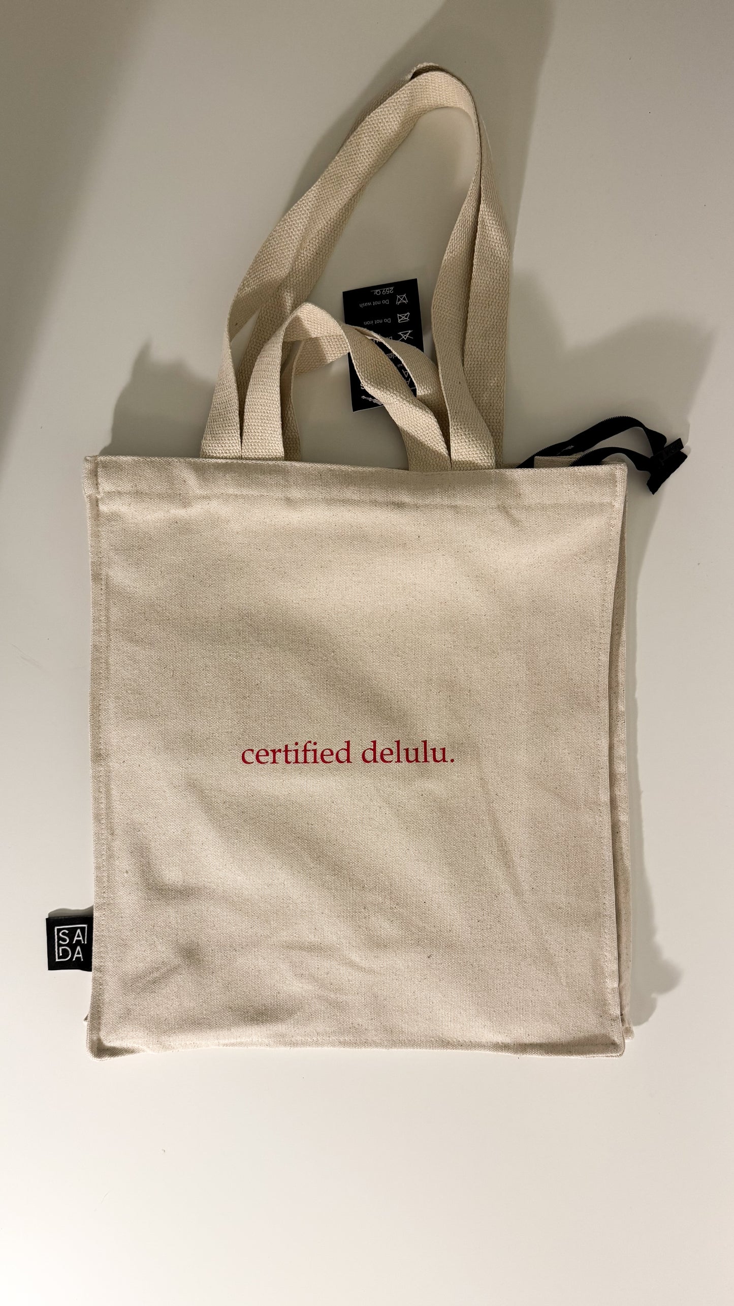 Certified delulu - large tote with zipper