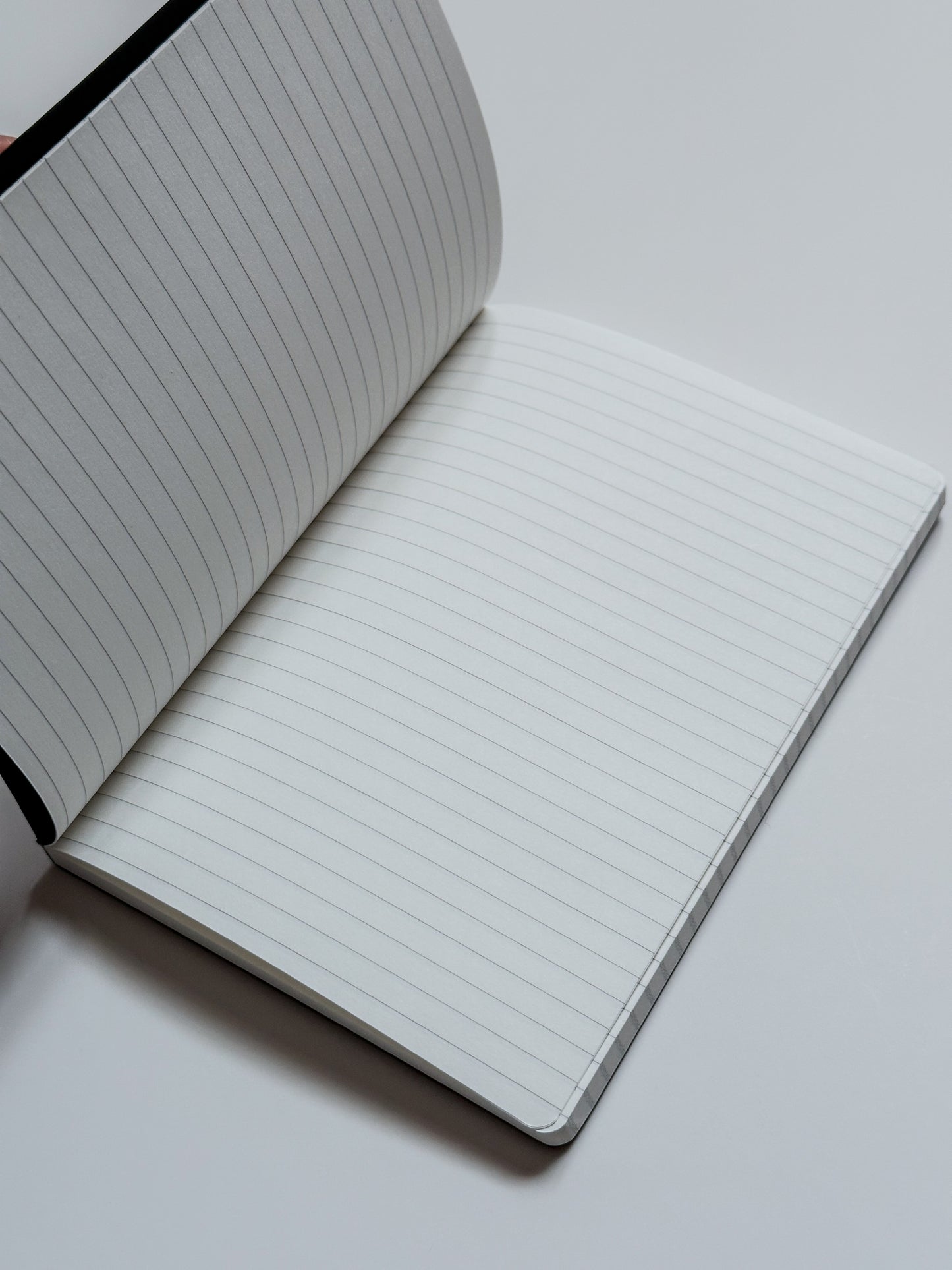 A little bit dramatic notebook